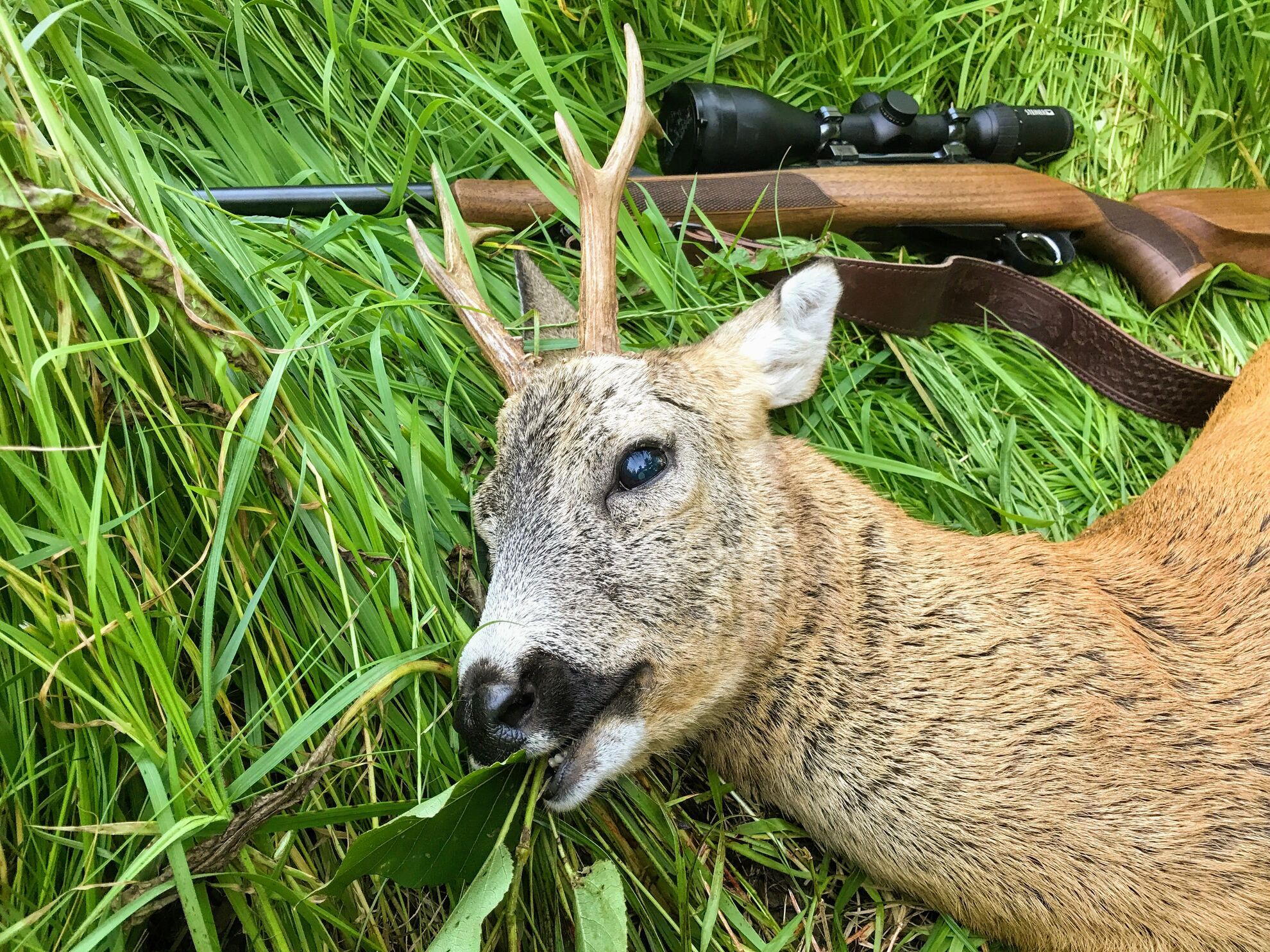 Hunting – 1 kg